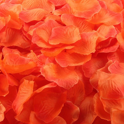 Double orange silk - ,