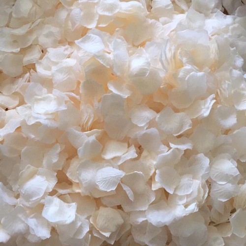 Champagne silk rose - champagne,