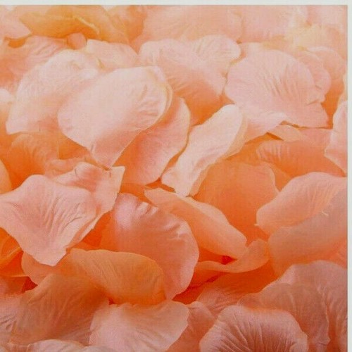 Peach silk rose petals - silk, flower