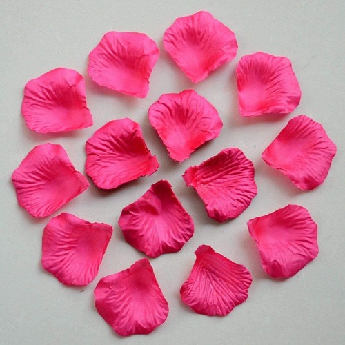 100 silk hot pink - 100,