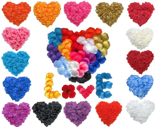 Rose petals flower wedding - rose,