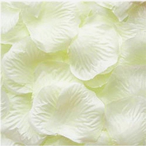 Ivory silk rose - ivory, petals