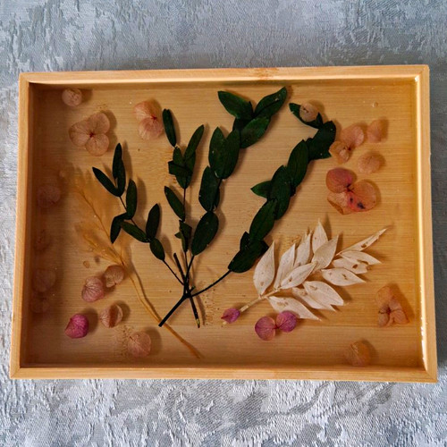 Botanical pressed dried leaves - botanical,
