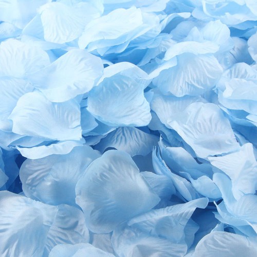 Baby blue silk rose petals - baby,