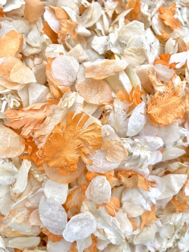 Orange ivory dried natural - orange,