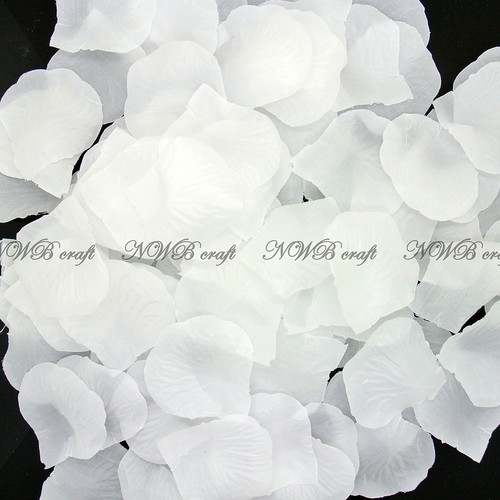 100 1000 white - 100-1000, rose