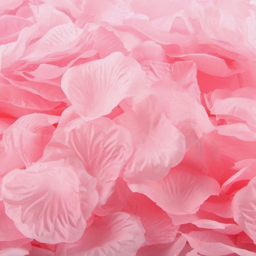 Light pink silk rose - rose, petals