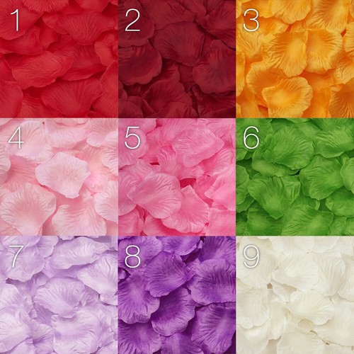 Silk rose petals confetti - rose,
