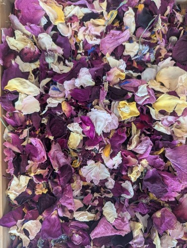 Natural dried flower - dried, confetti