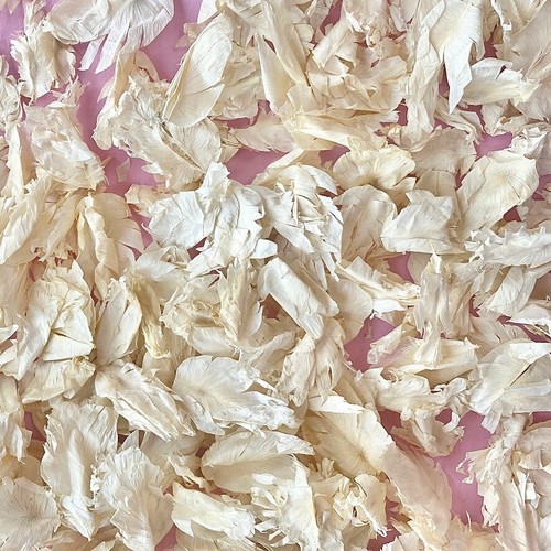 Ivory wedding confetti dried - wedding, |
