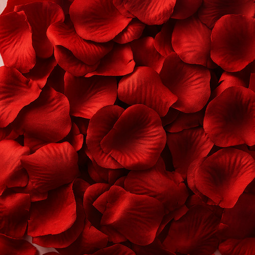 100 1000 red rose - red,