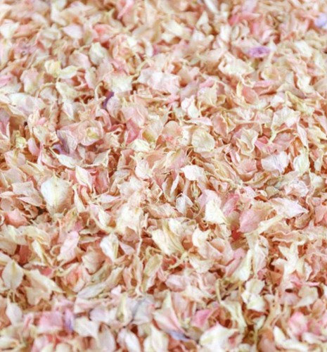 Pink confetti natural flower - pink,
