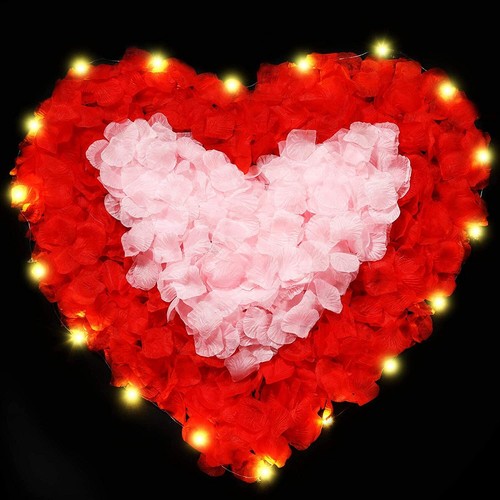 Flower petals rose - flower,