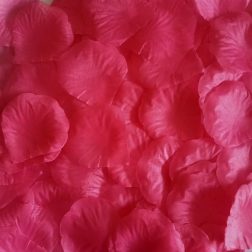 Hot pink silk - pink,